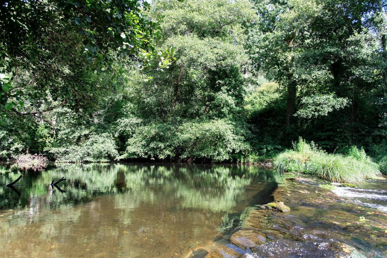 Neiva River House - Azenha Next To The River Еспосенде Екстериор снимка